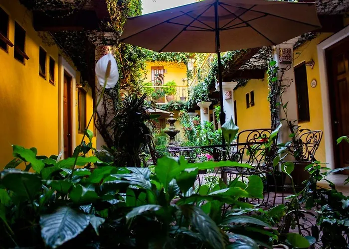 Hotel Dainzu