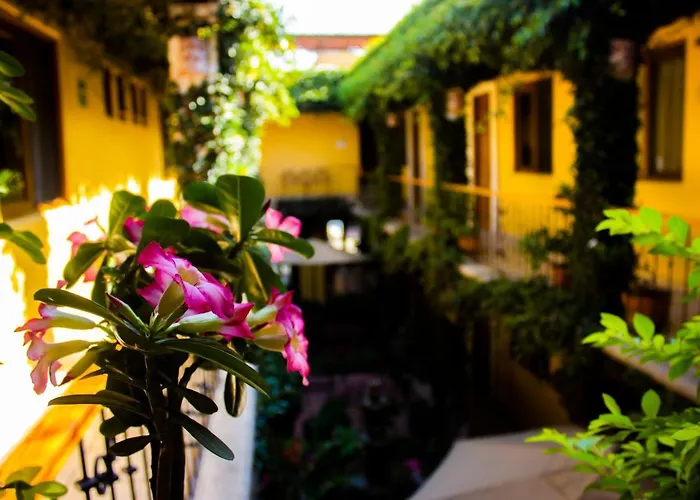 Hotel Dainzu