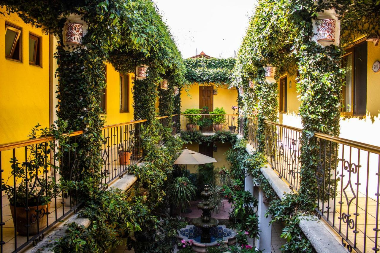 Dainzu Hotel 3*